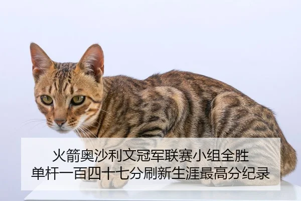 火箭奥沙利文冠军联赛小组全胜 单杆一百四十七分刷新生涯最高分纪录