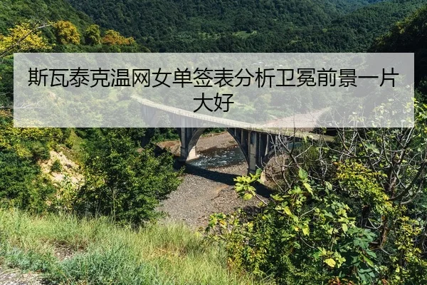 si-wa-tai-ke-wen-wang-nv-dan-qian-biao-fen-xi-wei-mian-qian-jing-yi-pian-da-hao-2-567.jpg