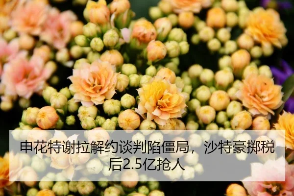 申花特谢拉解约谈判陷僵局，沙特豪掷税后2.5亿抢人