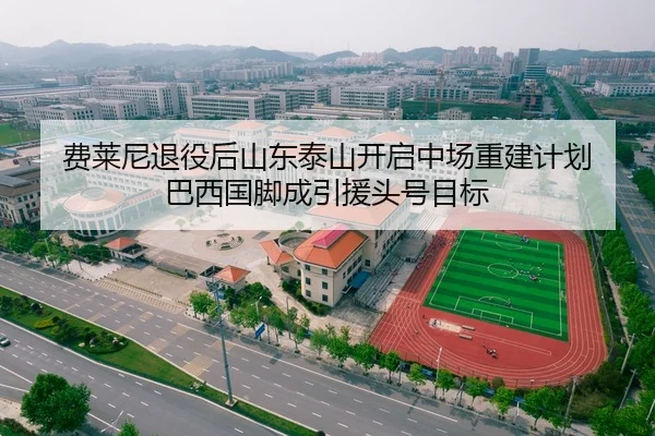 费莱尼退役后山东泰山开启中场重建计划 巴西国脚成引援头号目标